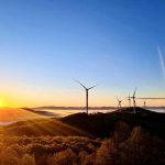 1639381408201070549 (Copy)